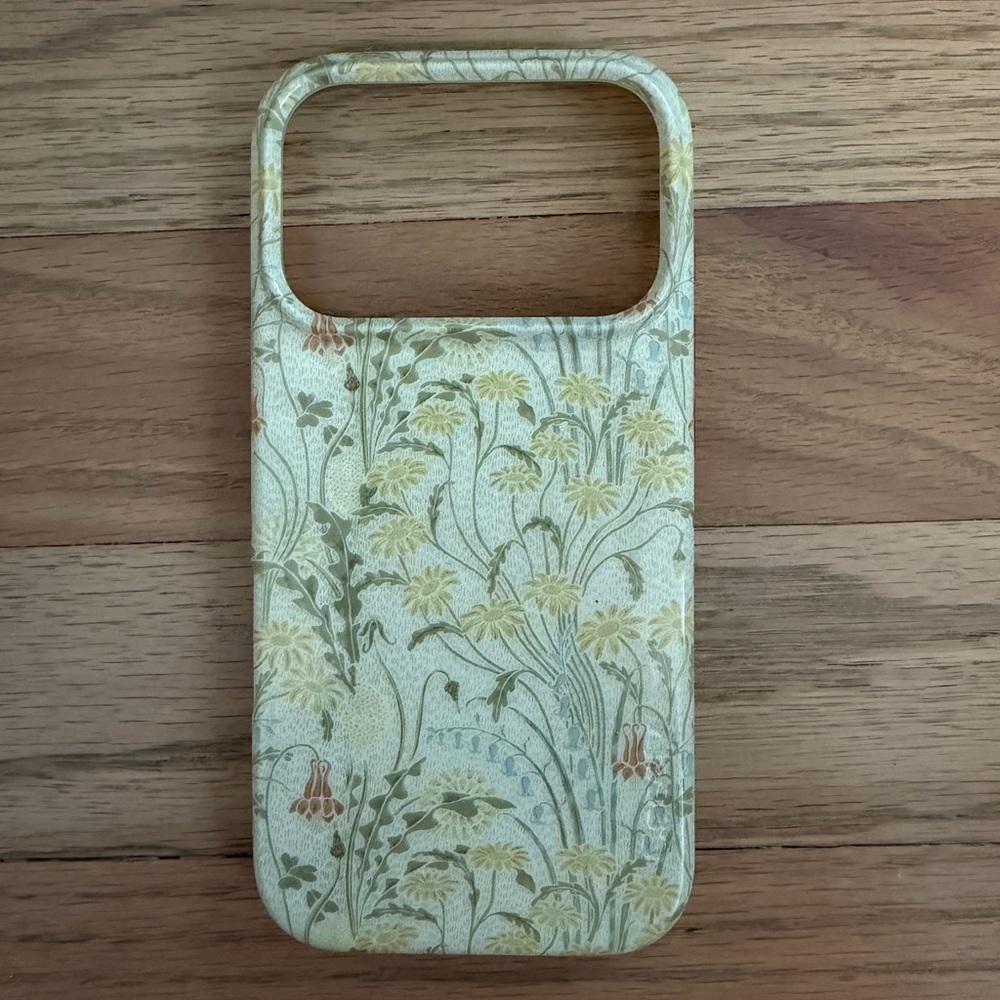 Casely Case